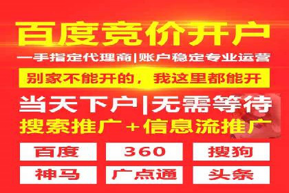 百度竞价赚钱的技巧与成功案例探讨